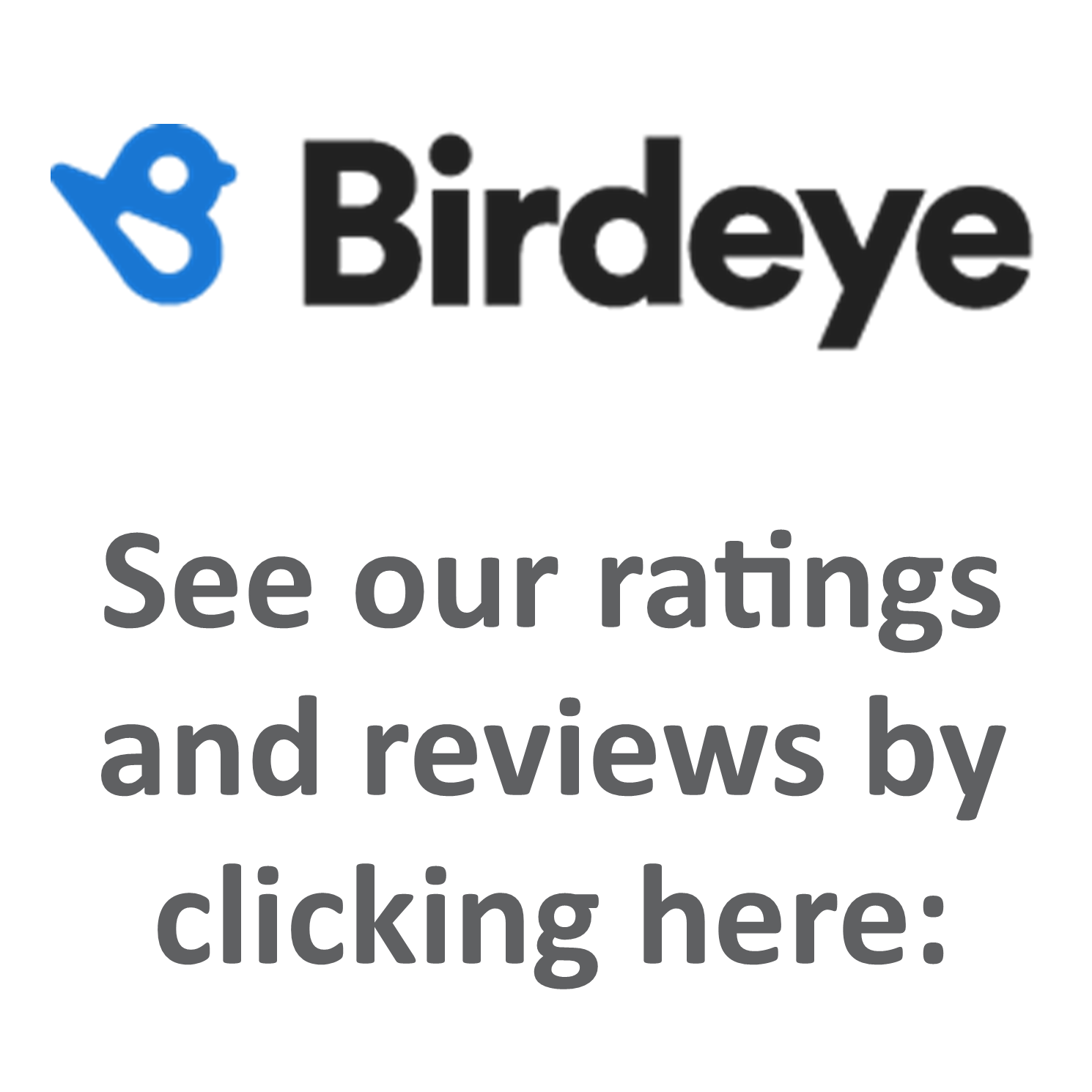 birdeye ratings site