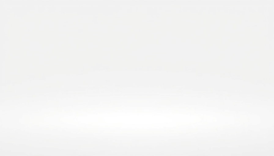 Blank image with a white background.