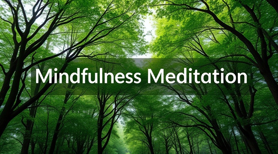 Serene forest scene promoting stress reduction through mindfulness meditation.