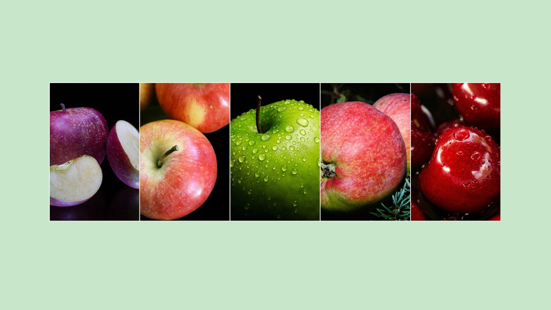 collage of apples