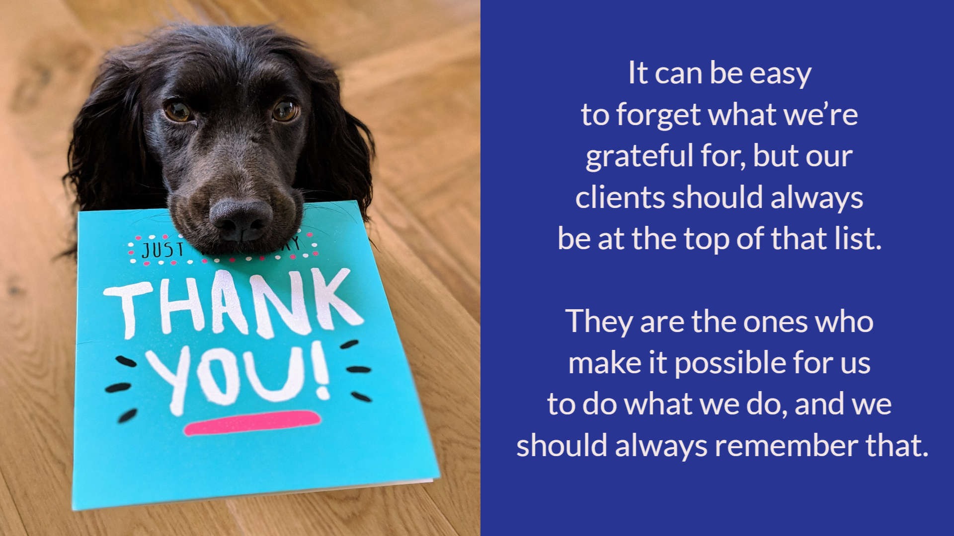 black dog holding thank you card