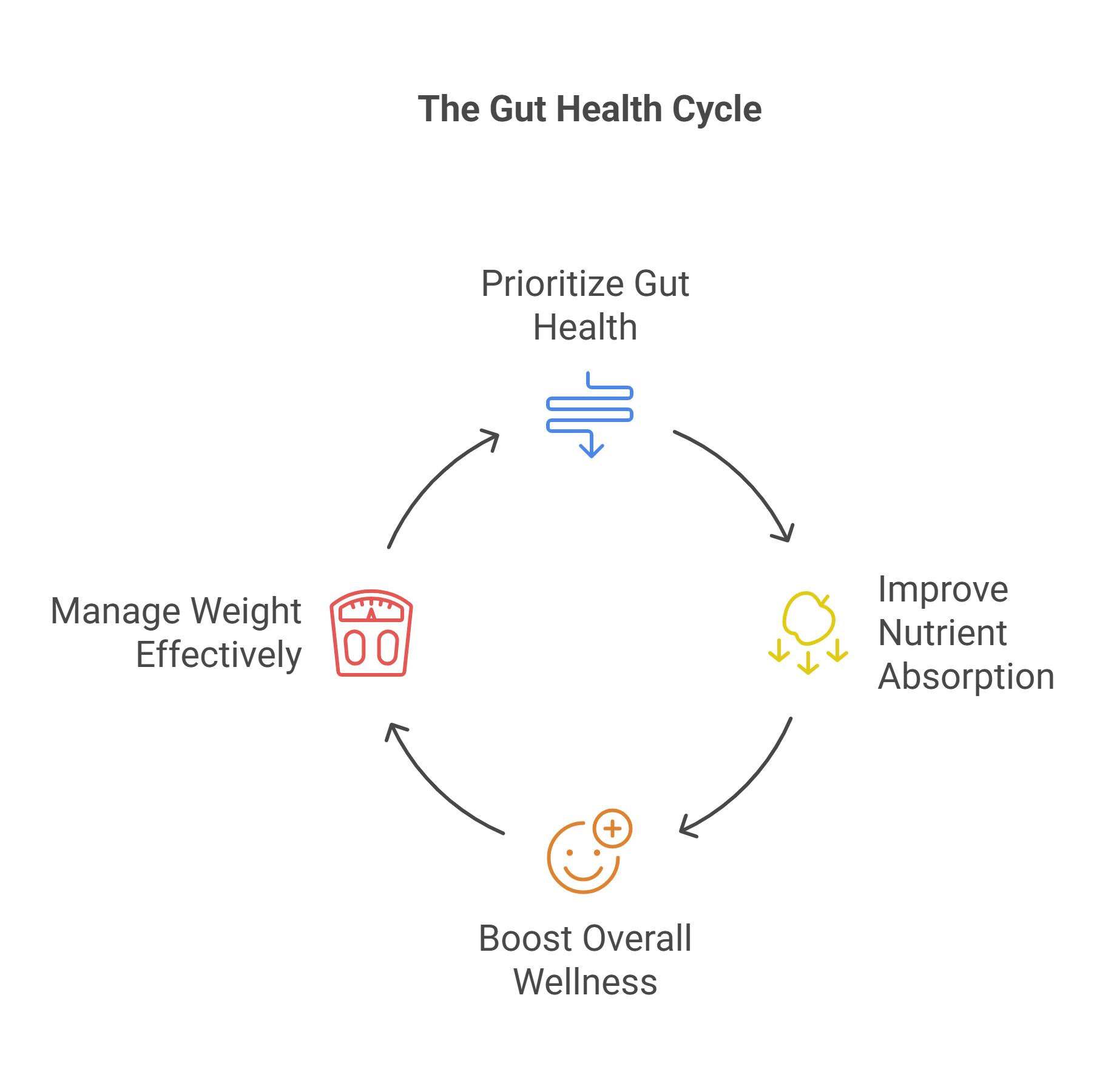 The Gut Health Cycle
