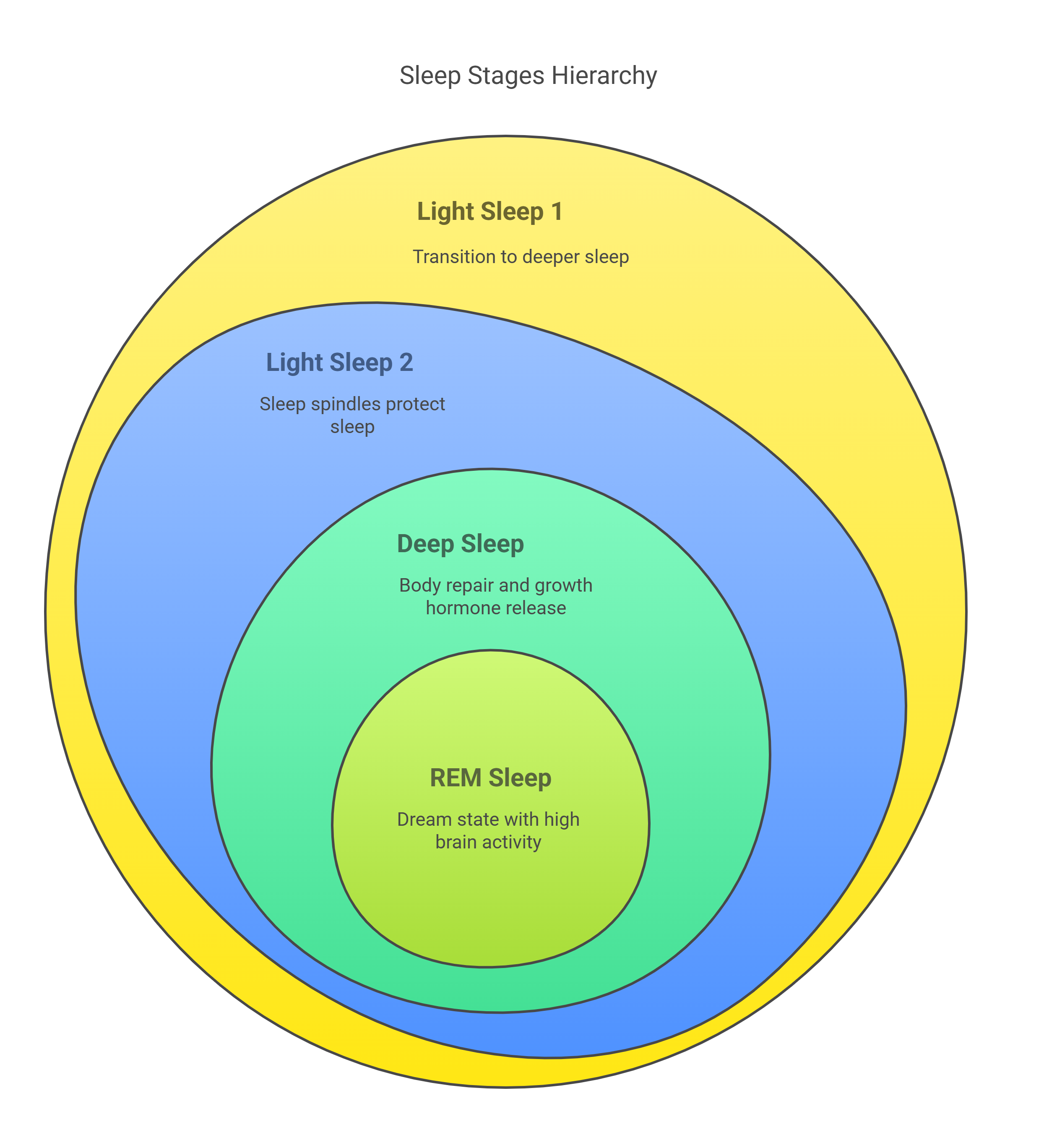 Sleep Stages Hierarchy