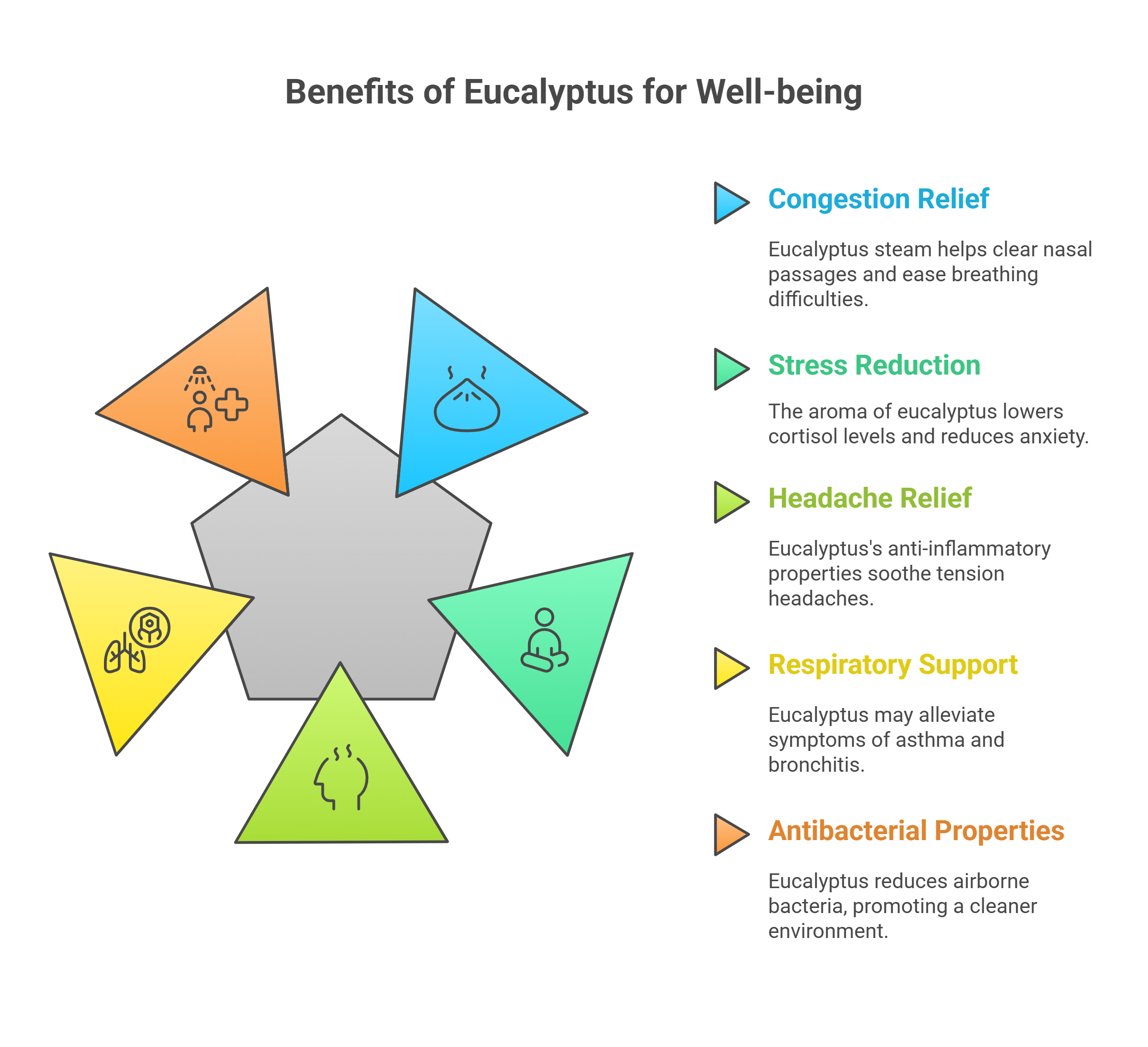 Benefits of Eucalyptus for Well-being