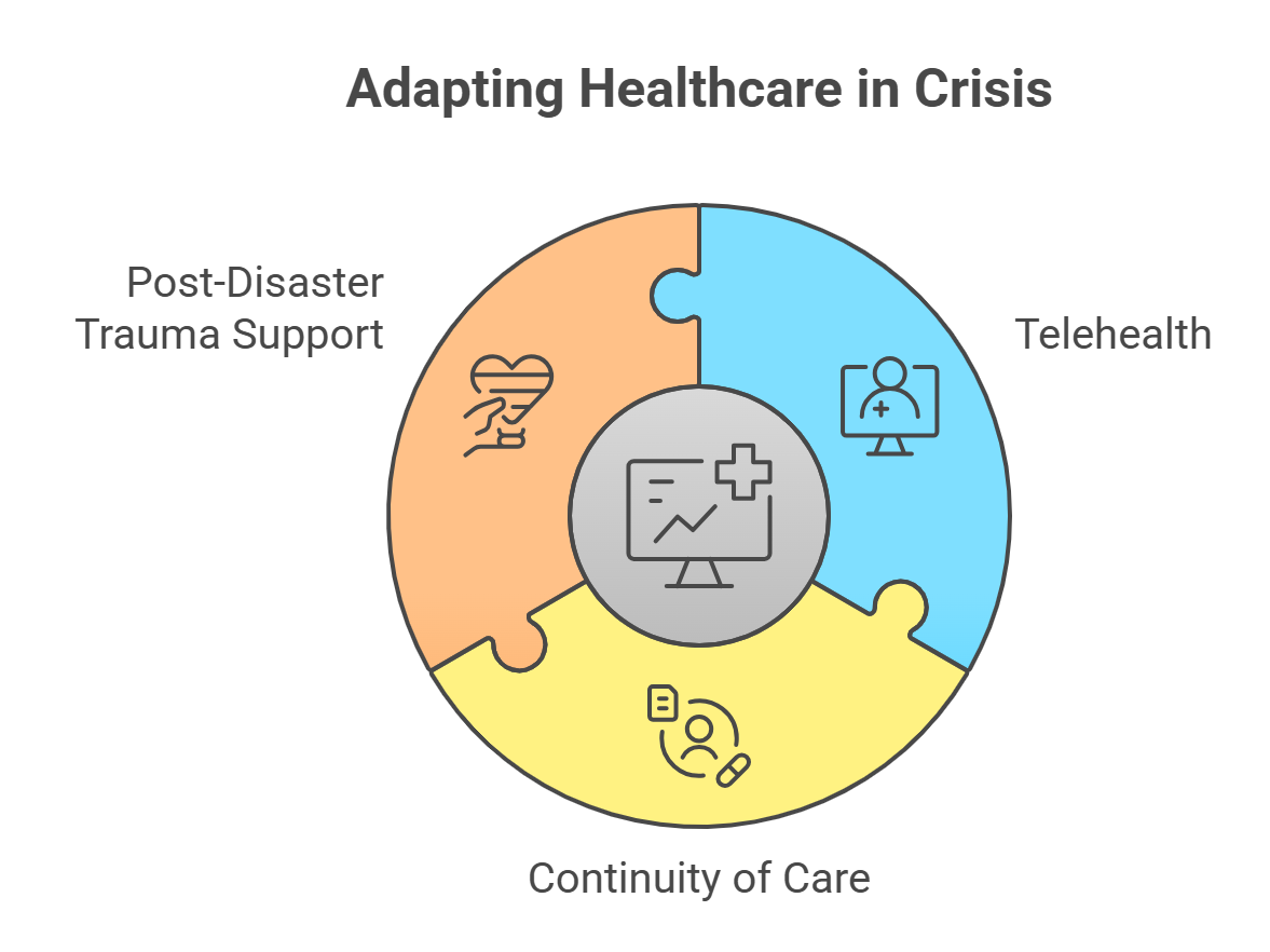 Adapting Healthcare in Crisis