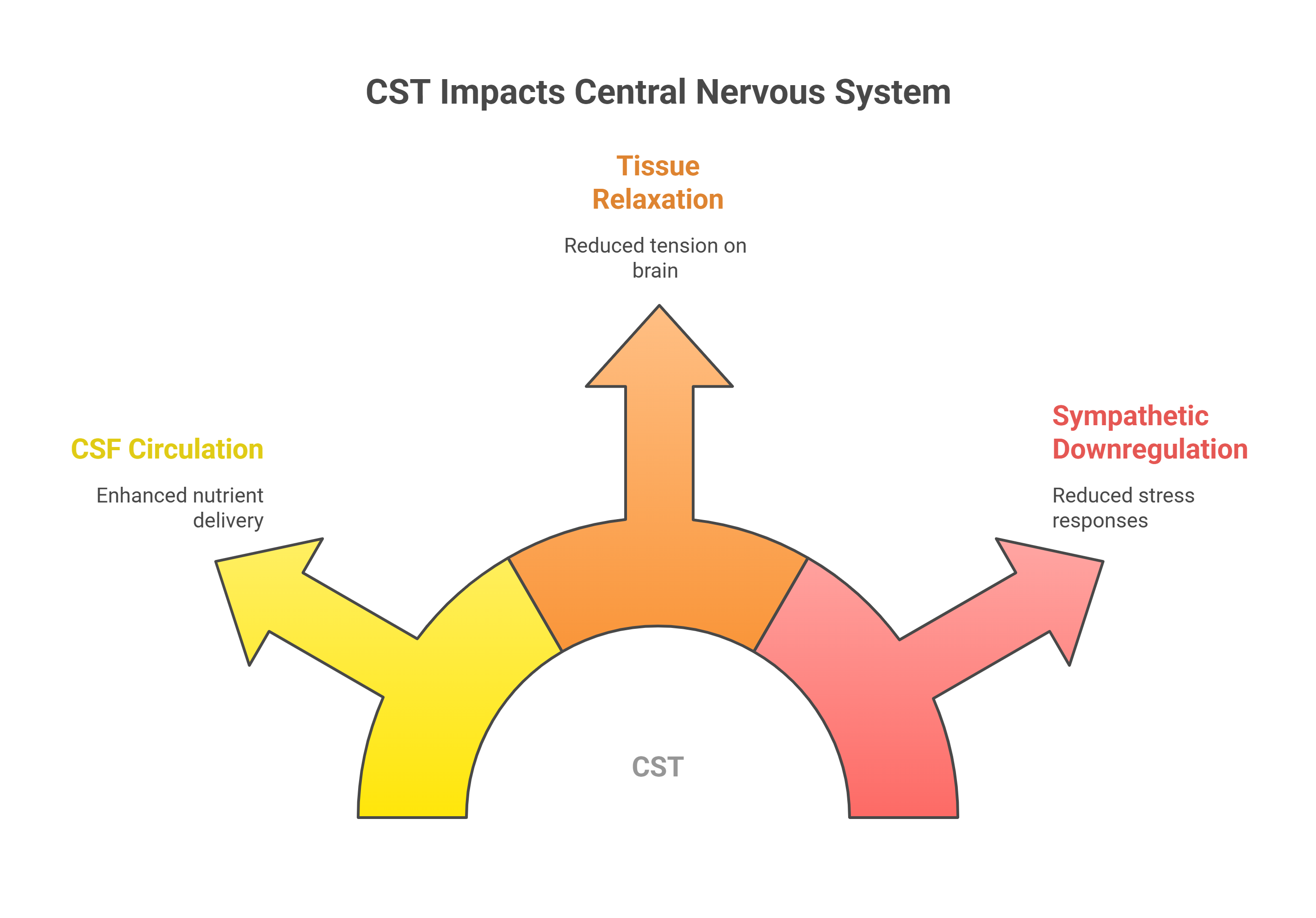 CST Impacts Central Nervous System
