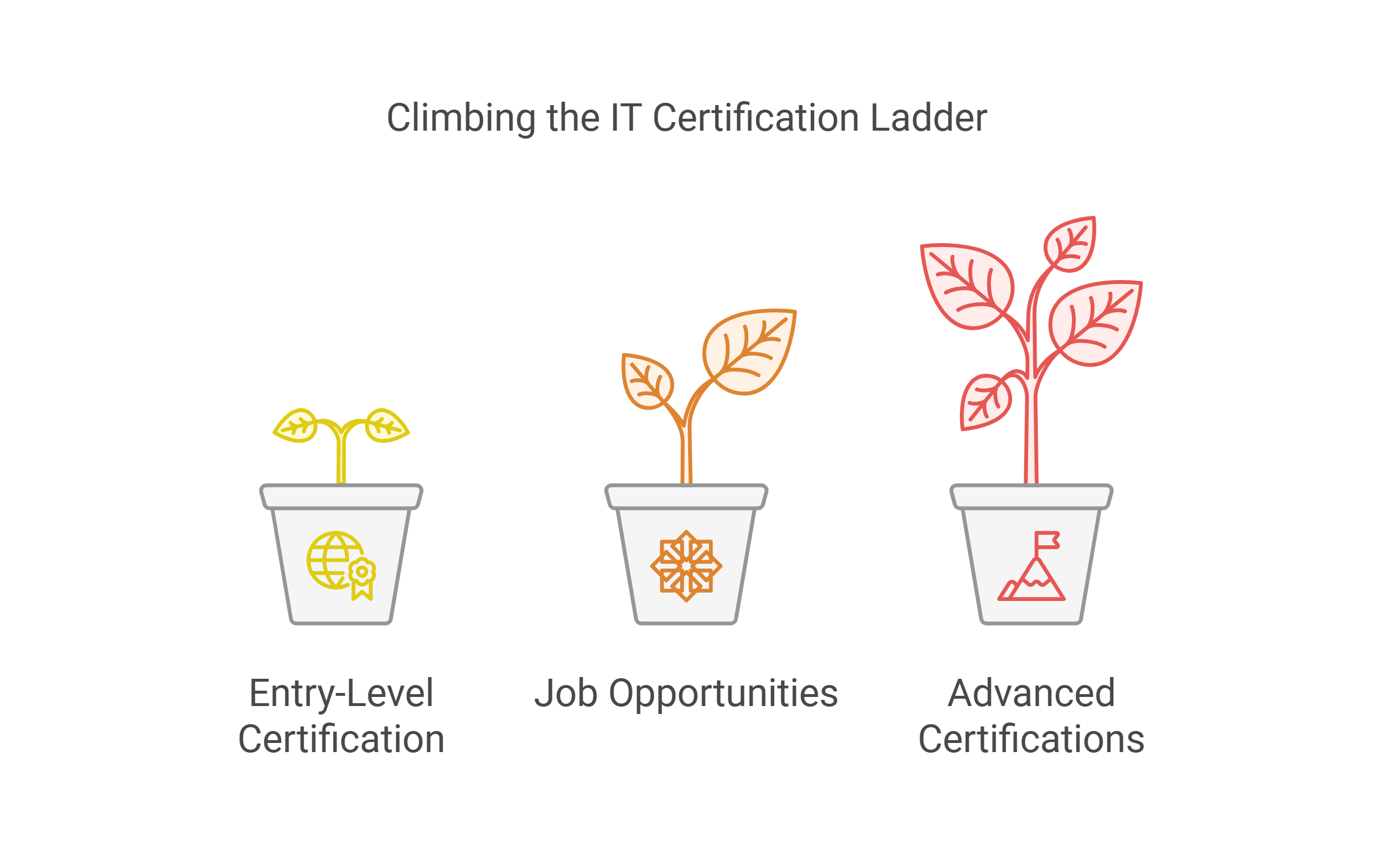 IT Certification Ladder
