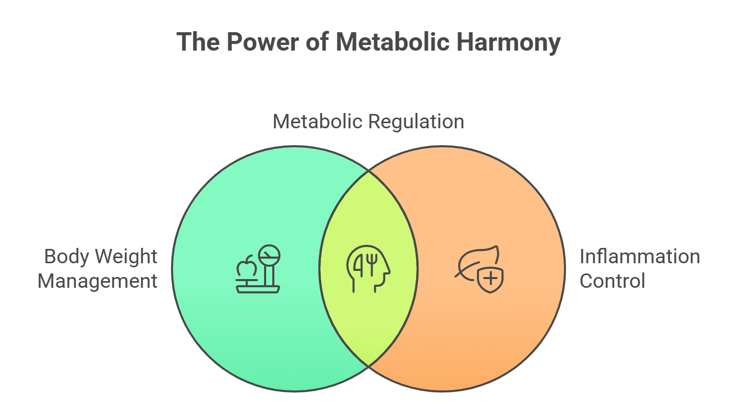 Metabolic Harmony