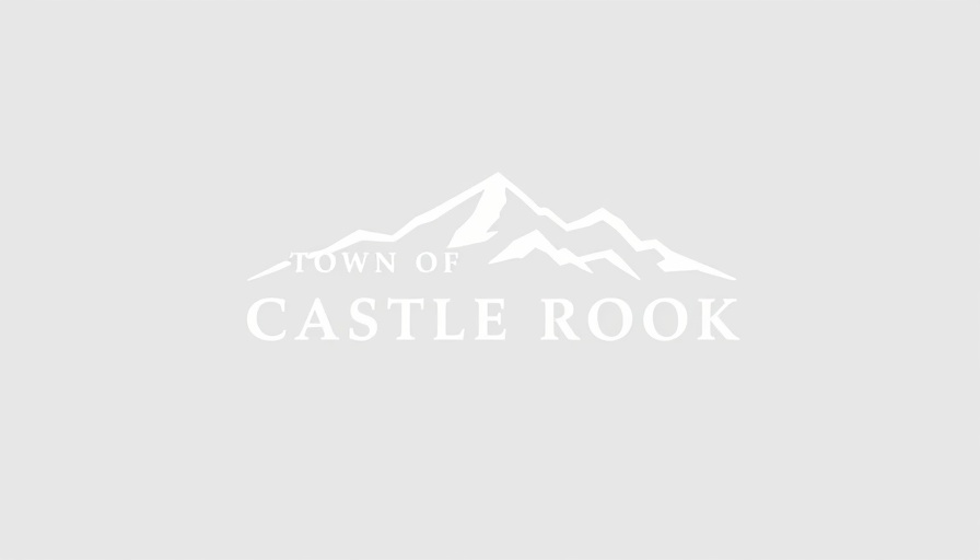 Town of Castle Rock logo with mountain silhouette