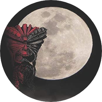 Season of Night Vicki Draeger