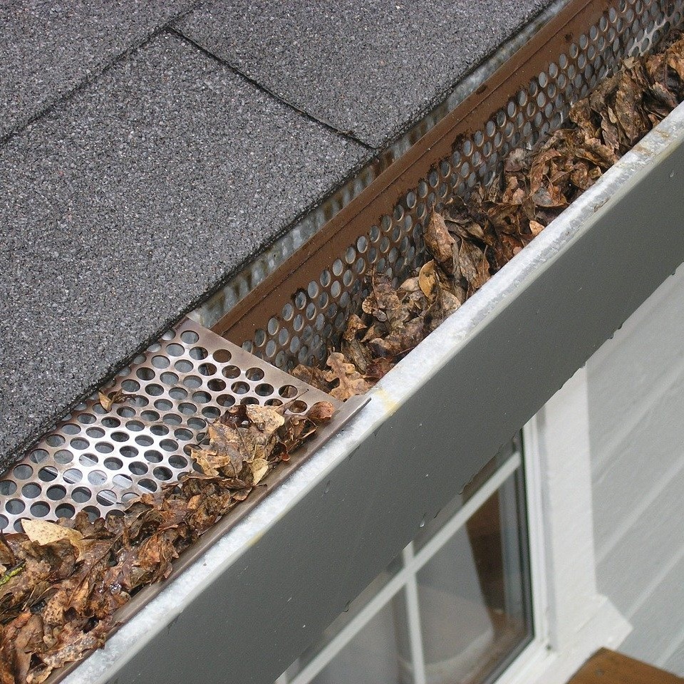 Clogged Gutter from leaves