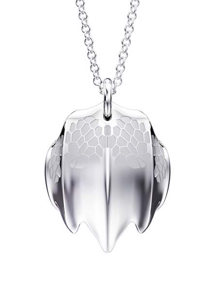 Amulet of Natural Armor