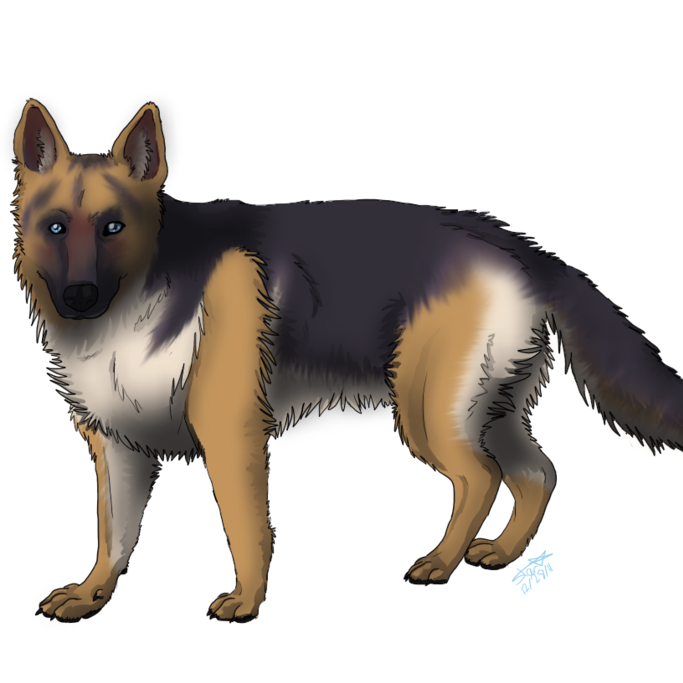 Dog