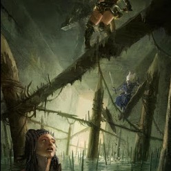 Hall of Harsh Reflections