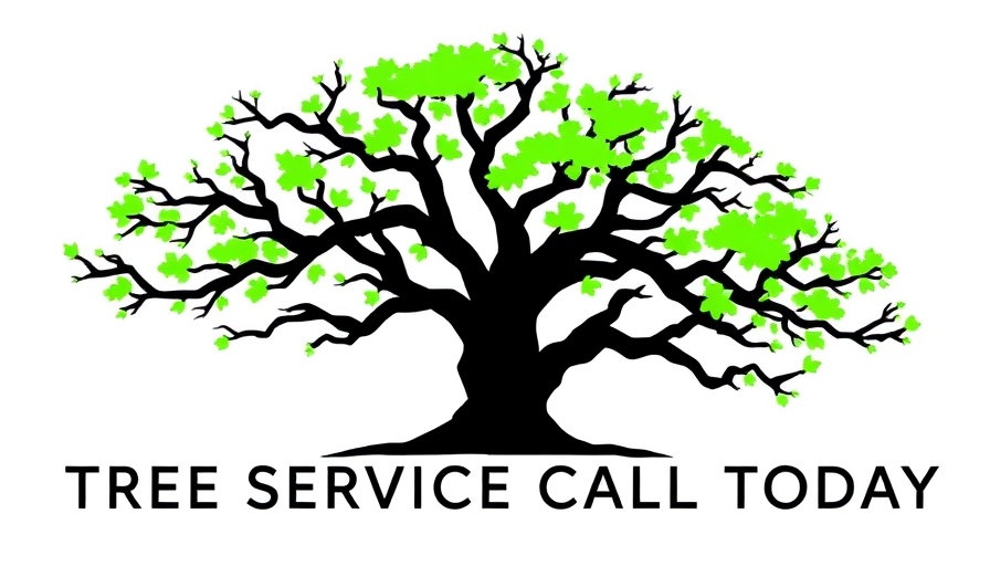Tree Service Baytown TX logo with green leafed tree and text.