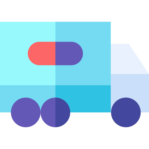 express delivery