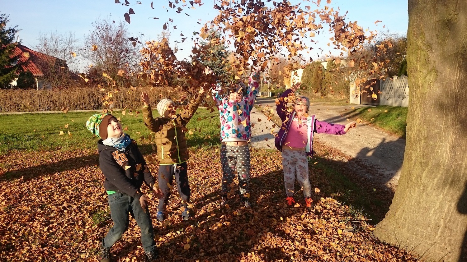 Children playing in autumn leaves