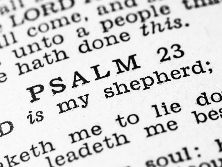 The Lord is my shepherd
