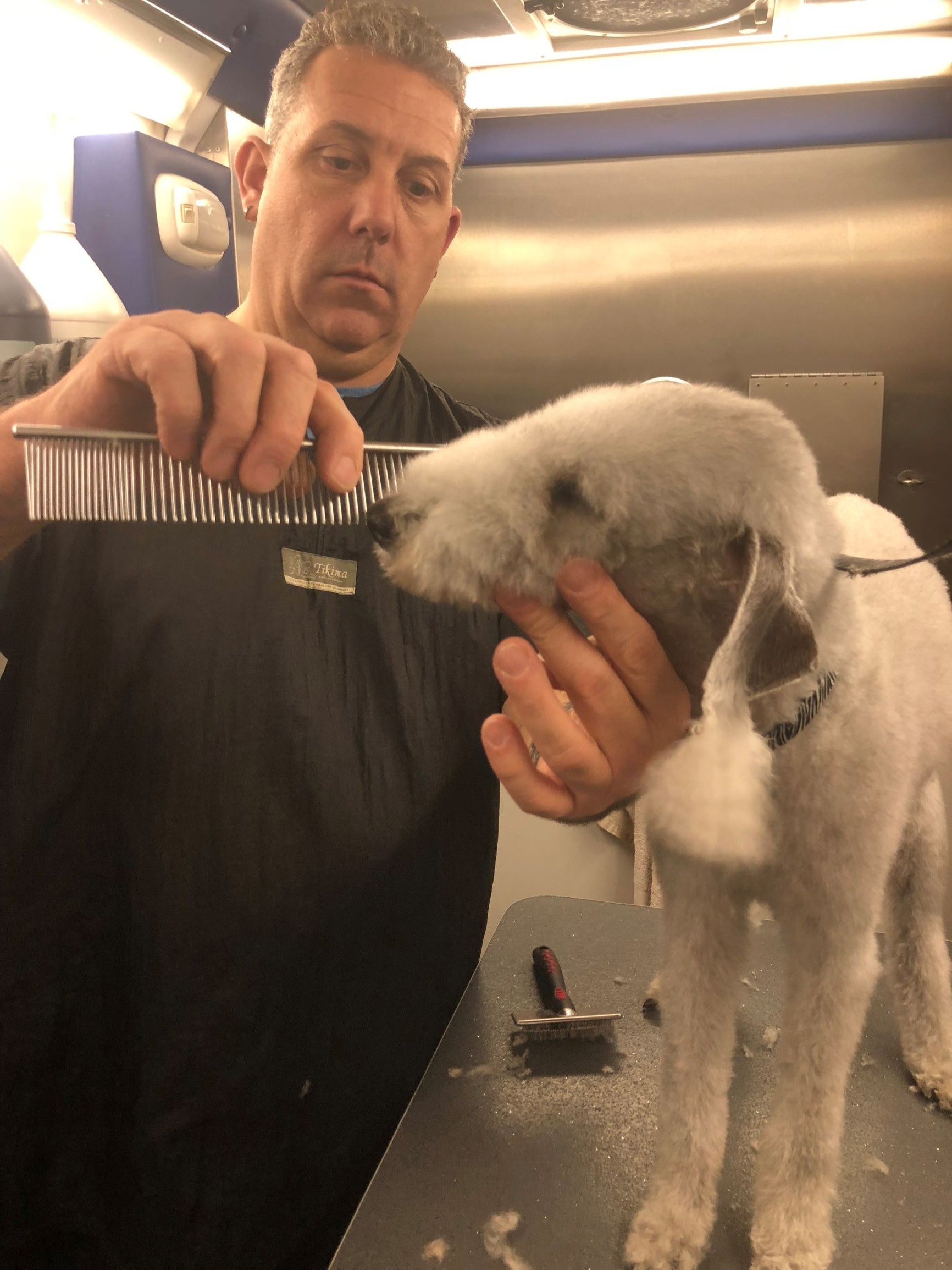 <img src="Craig.jpg" alt="professional pet groomer">