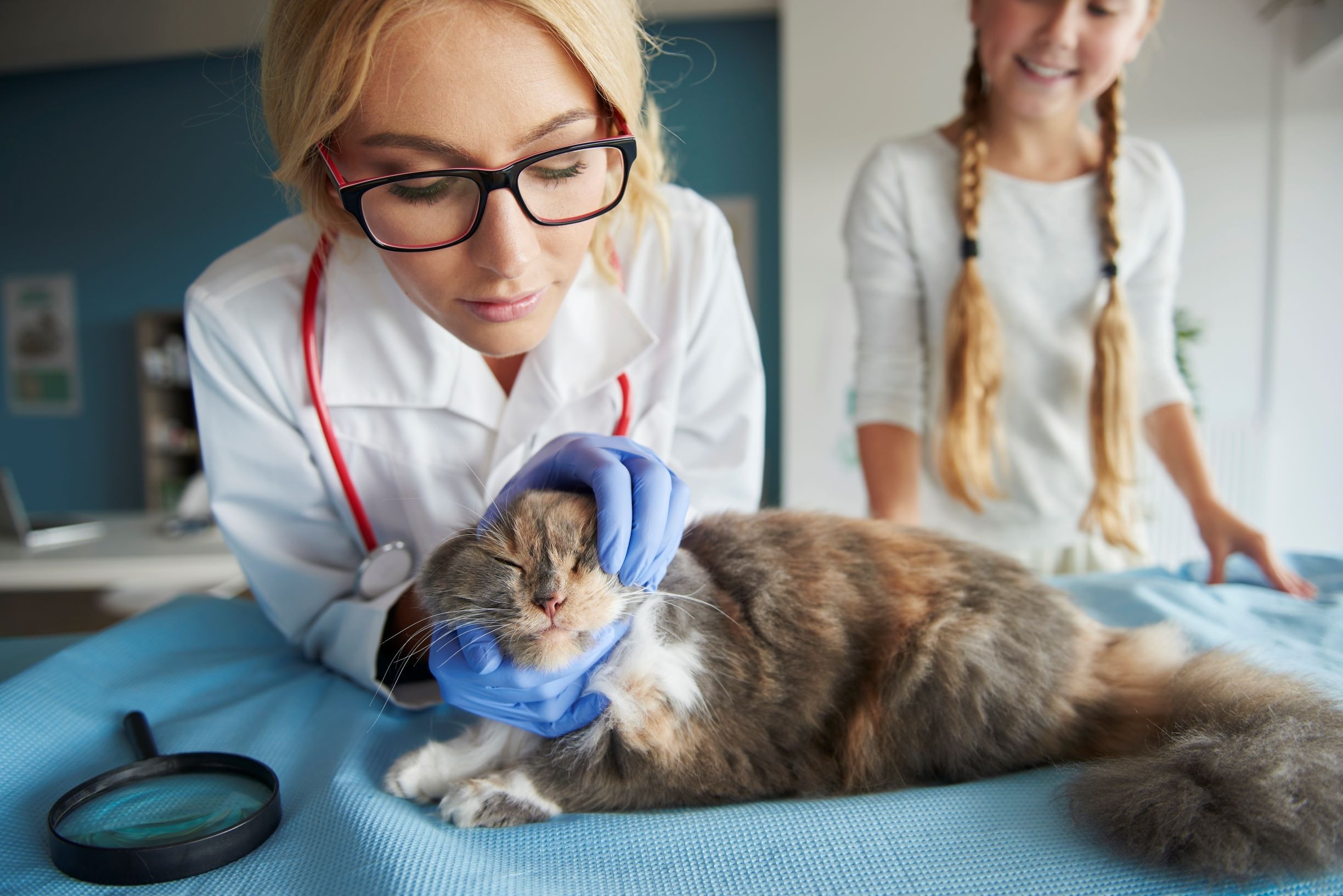 Vet with cat