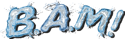 B.A.M. Logo