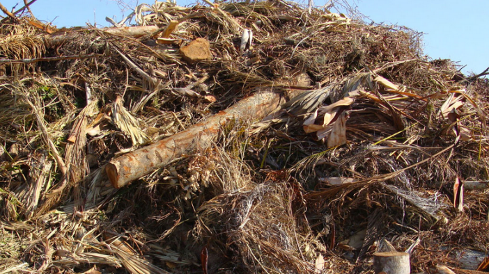 Yard debris removal Myrtle Beach