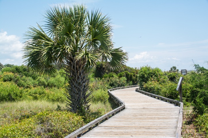 Myrtle Beach State Park