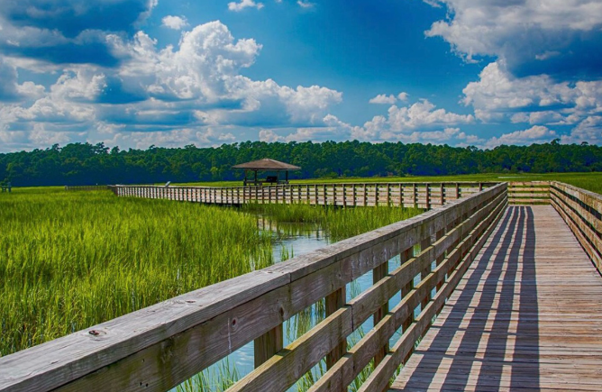 Huntington Beach State Park (Murrells Inlet)