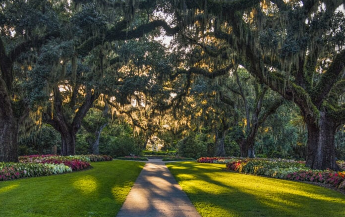 Brookgreen Gardens Lowcountry Trail