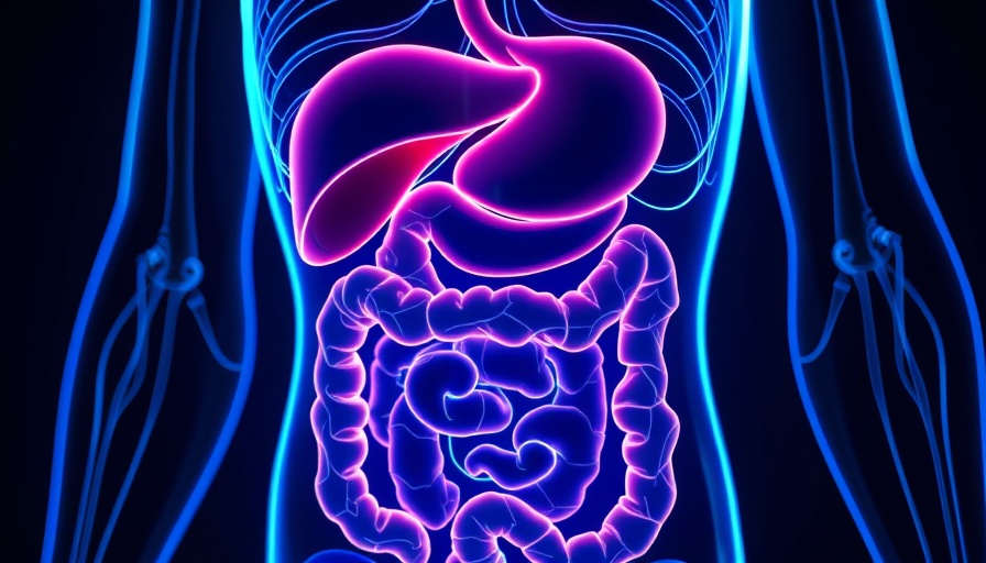 Digital illustration of the digestive system highlighting liver and intestines.