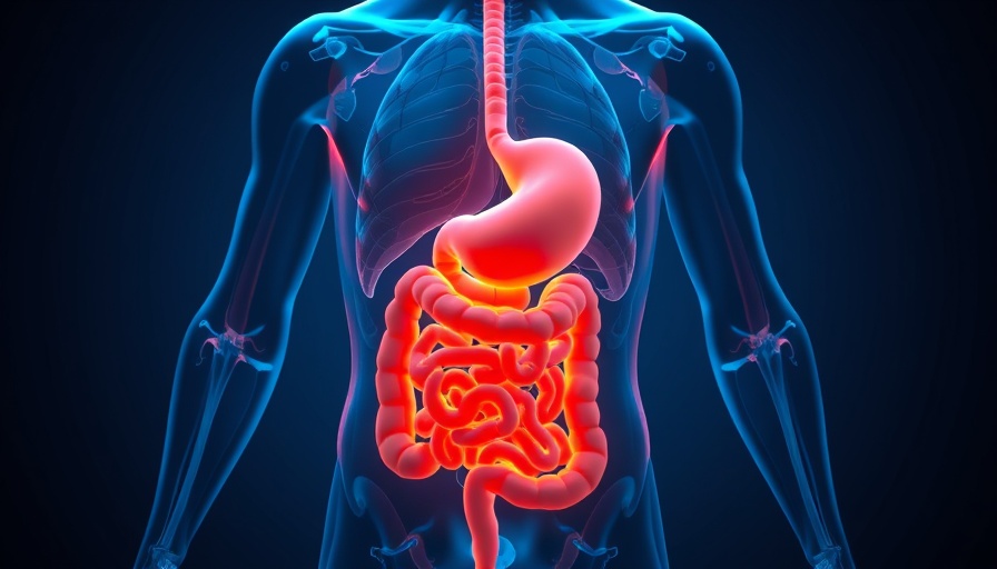Transparent human body with glowing digestive system for health optimization tools.