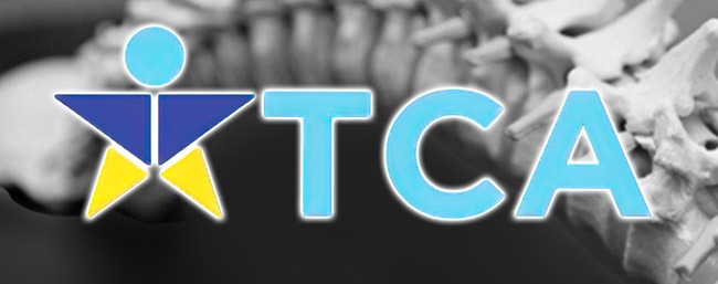 Texas Chiropractic Association Logo