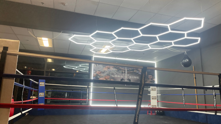 Sunlit boxing gym ring and bags inspire confidence through boxing