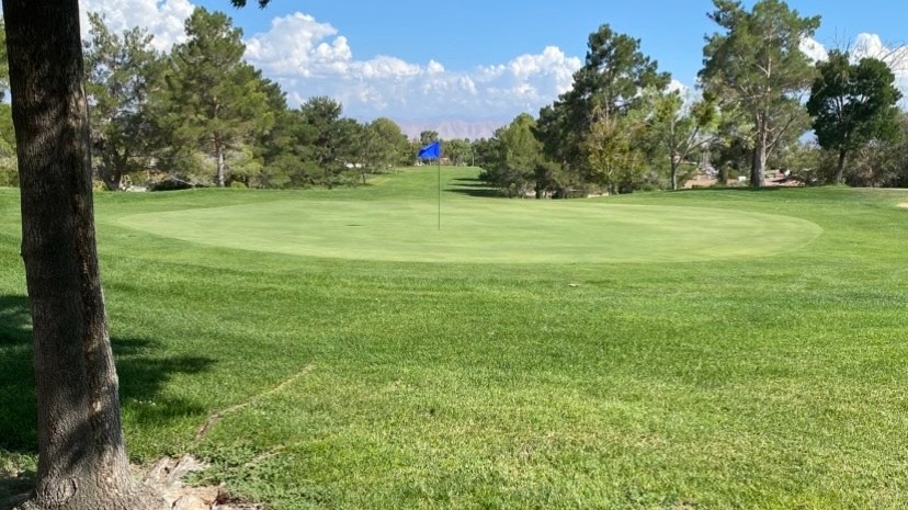 Two golfers on Green Tree Golf Course fairway surrounded by sunlit trees.