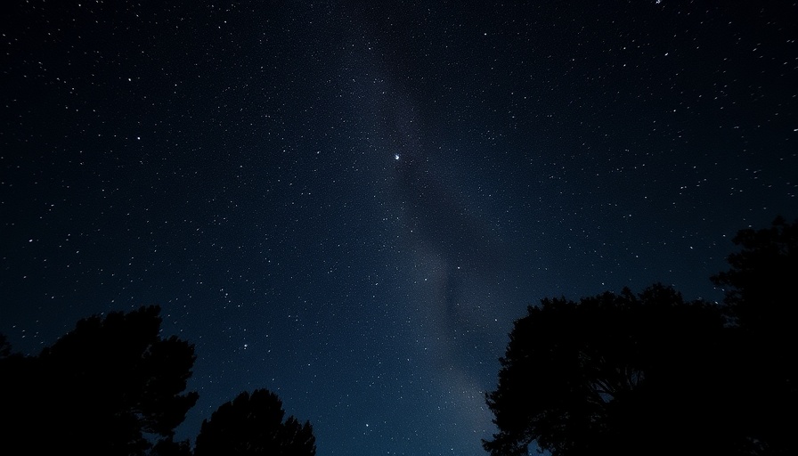 Starry night sky over Tucson Astro Trail, silhouetted trees.