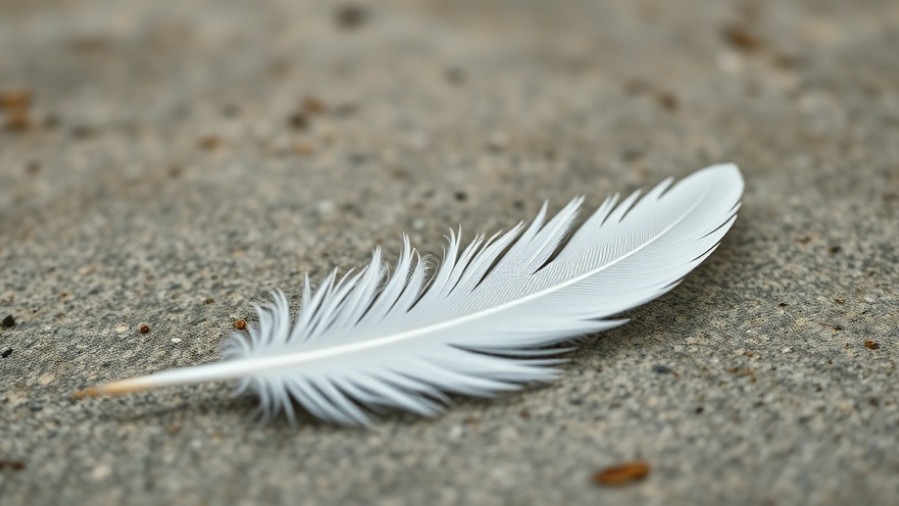 Minimalistic white feather on textured surface, symbolizing lightness and memory.