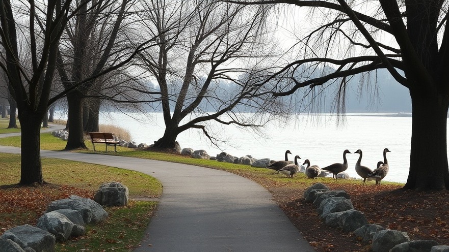 Riverside path with trees and geese under a clear autumn sky.