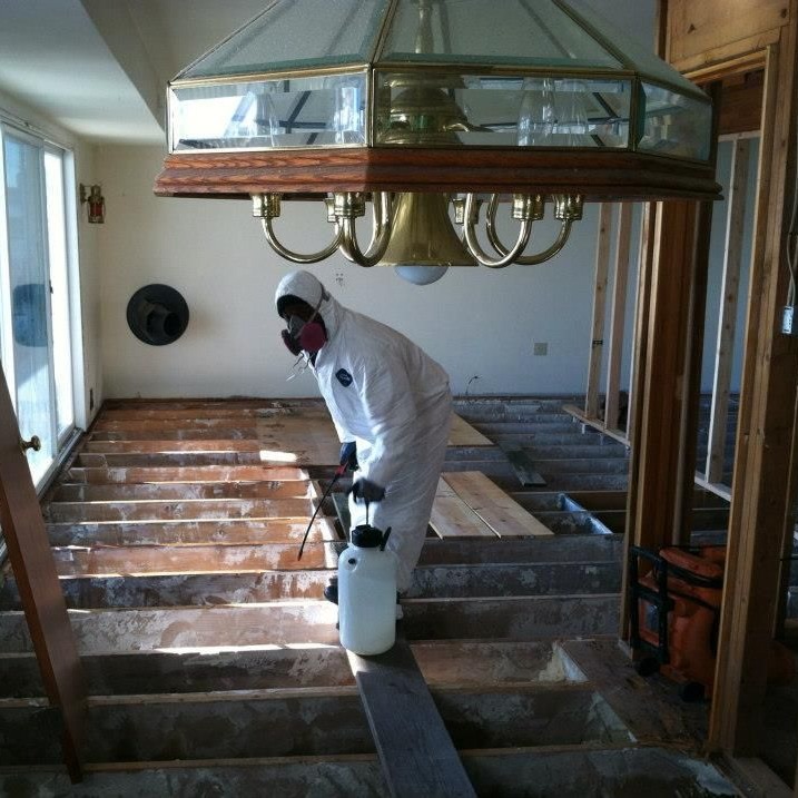 black mold 9