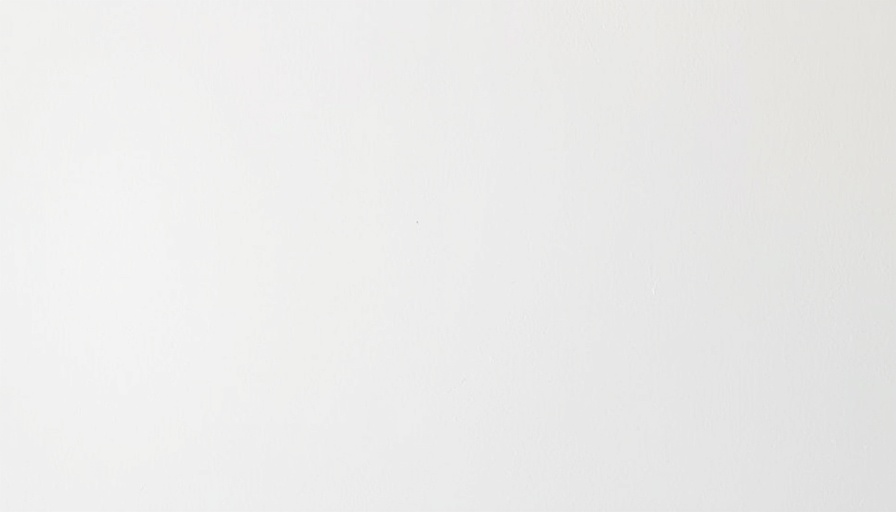 Blank image placeholder symbolizing absence of visual content.