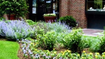 Beautiful Garden after grounds keeping