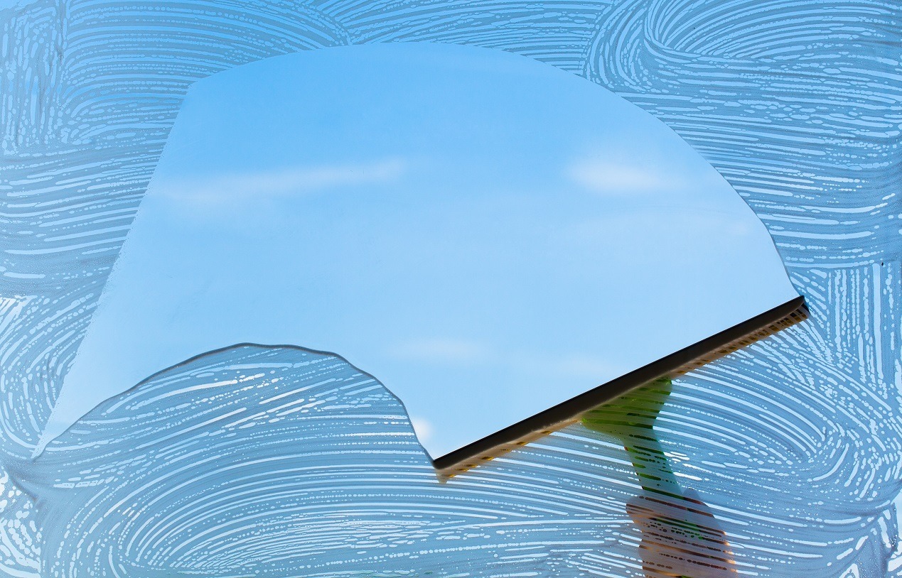 Windows and More Squeegee