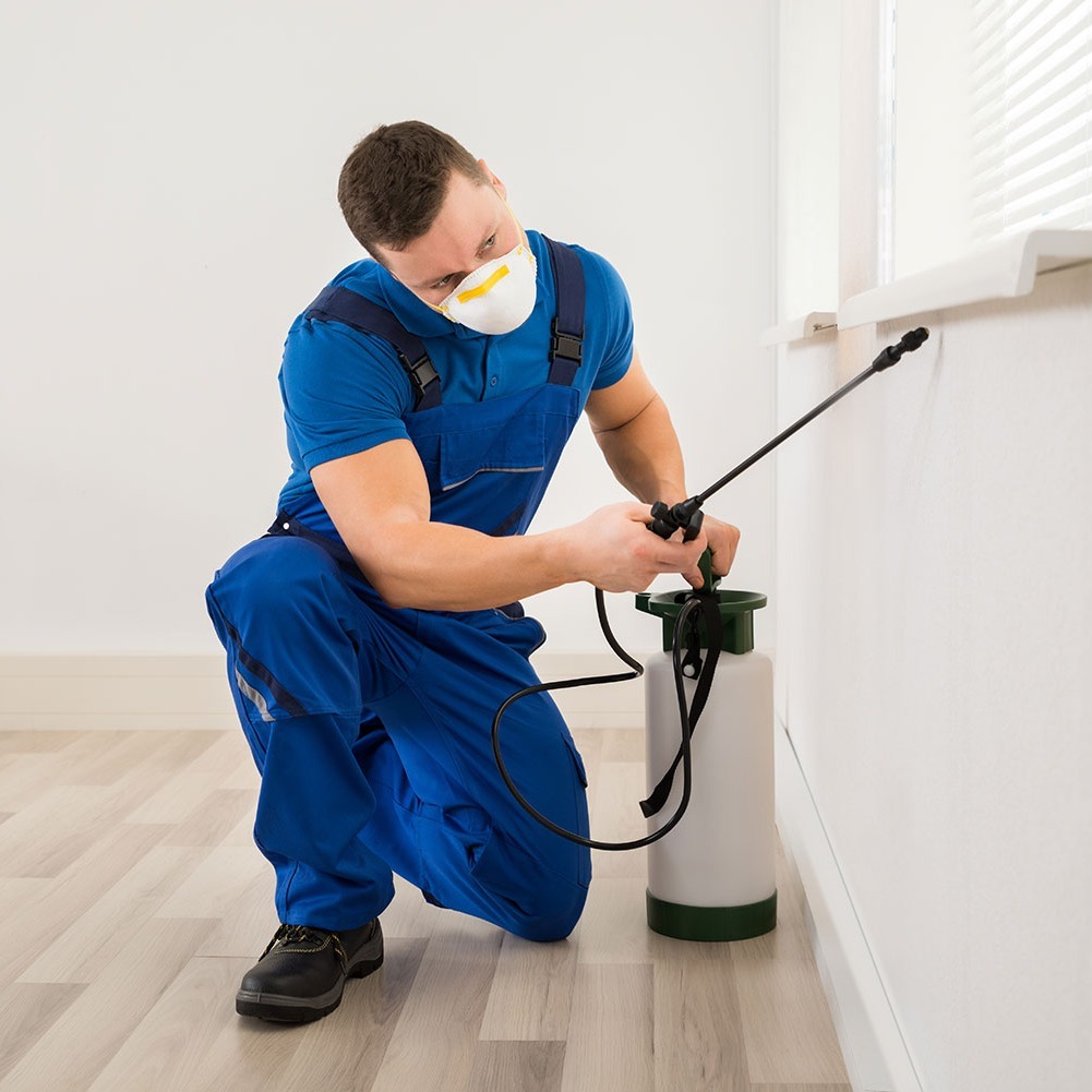 Man cleaning walls with mask