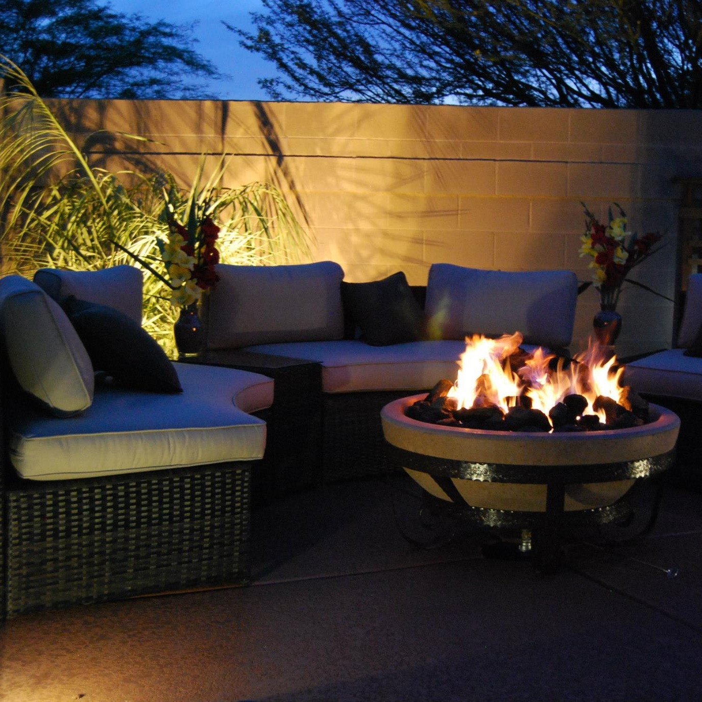 Fire Features in Backyard