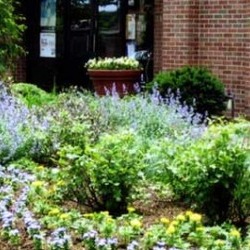 grounds keeping services done on flowerbed