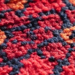 Clean Carpet with Floral Pattern