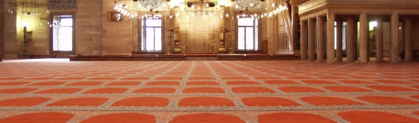gorgeous clean carpets in fancy room