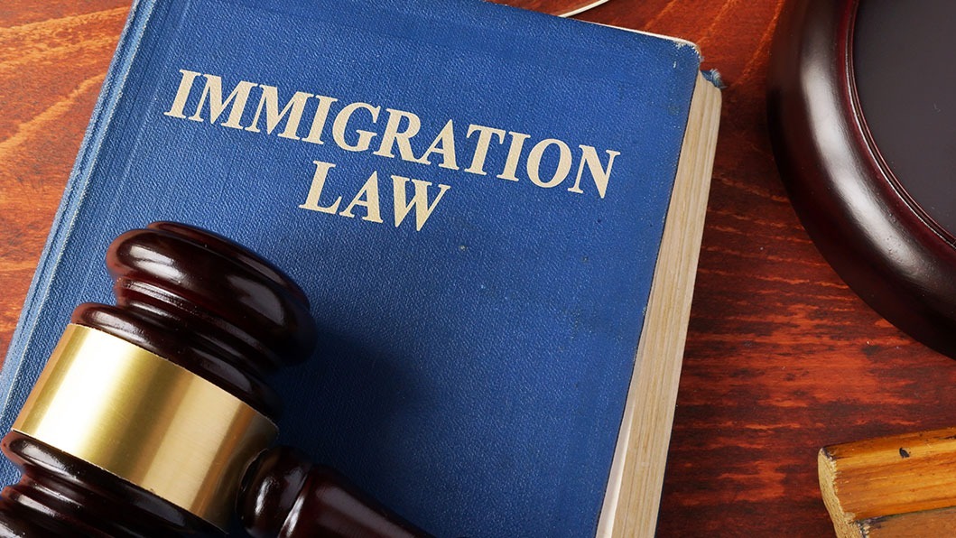 Immigration law-book and gavel