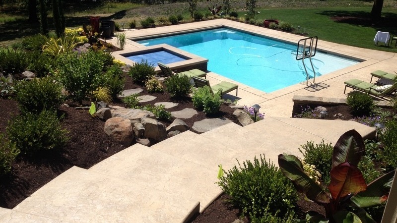 Backyard pool with custom work