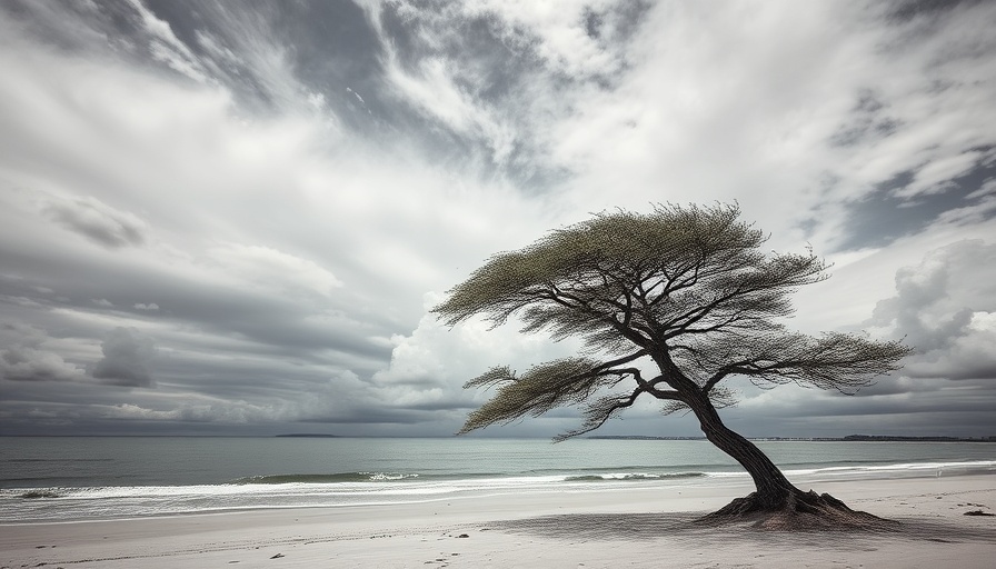 Lone tree on beach under cloudy sky, illustrating illusion of control.