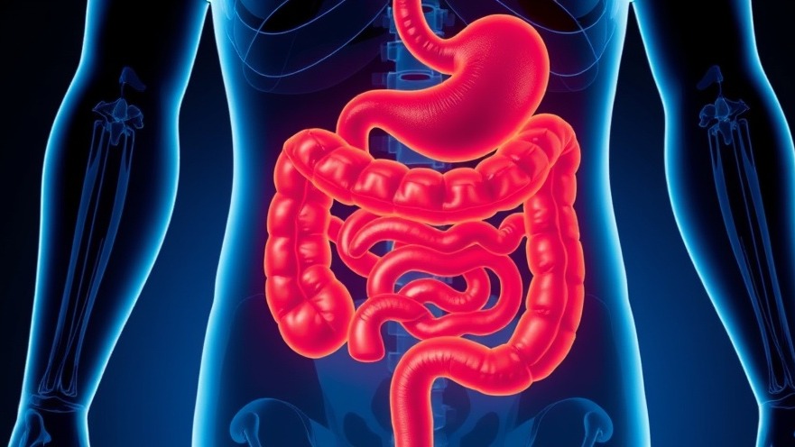 Illustration of the digestive tract highlighting peristalsis for digestive health.